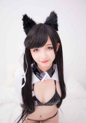 都泽王朝